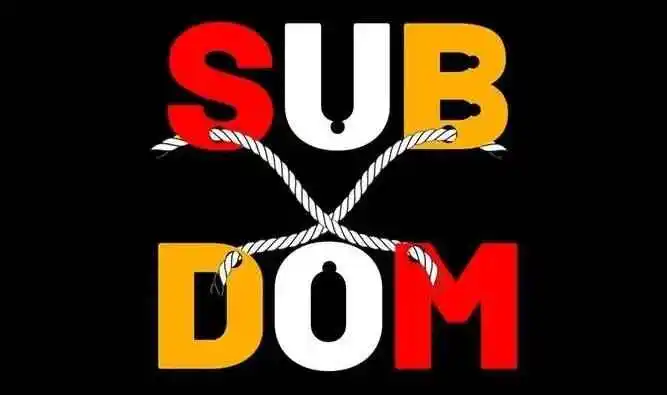 “成为完美sub”的秘密!你准备好接受挑战了吗? 一