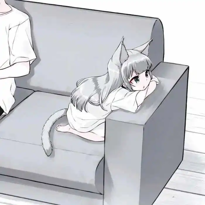 k8猫系圈里的小秘密，你真的知道吗？ 一