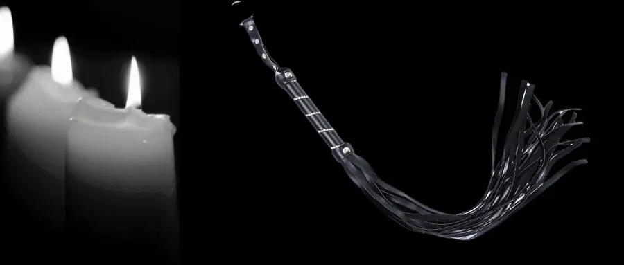 “K9是什么？”揭开你不知道的神秘面纱！ 一