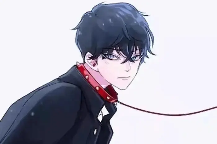 s属性是什么？揭秘你不知道的秘密与潜能 一