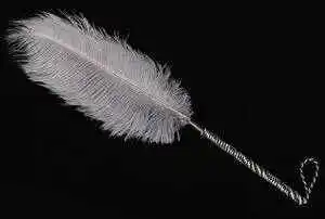 深度探索S属性：在字母圈中，你了解自己的界限吗？ 一