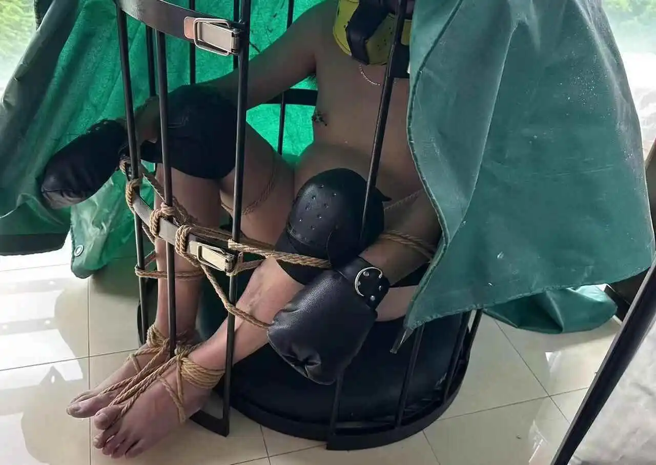 当我第一次了解ddlg是什么时,我的内心世界瞬间被打开了 一