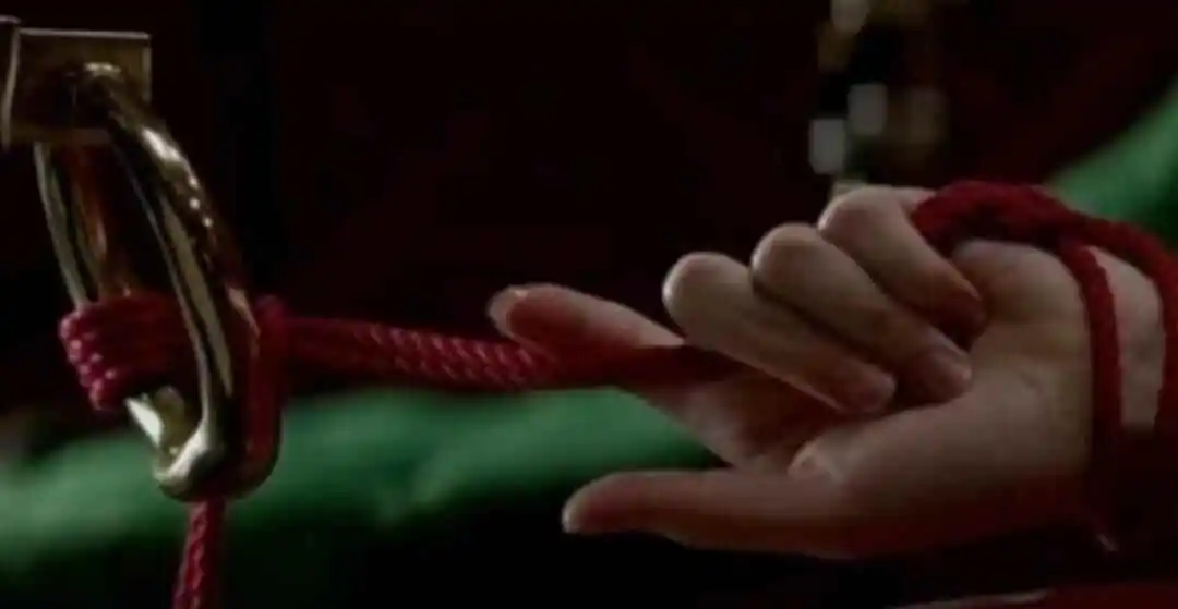 我如何意外进入了sp小圈 一