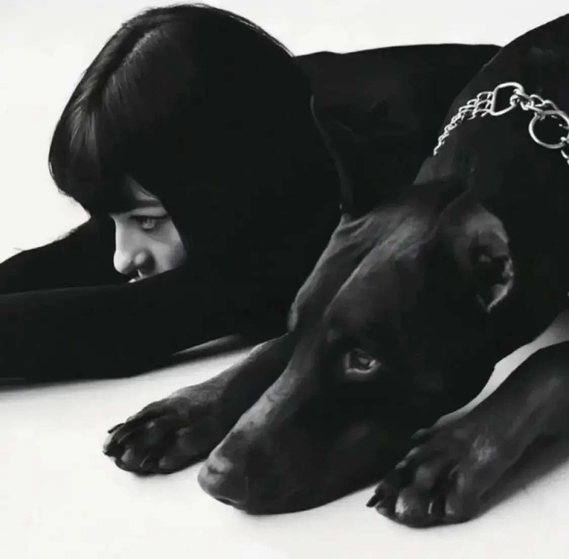 “sp小圈”揭秘：如何理解施虐与受虐者之间的关系？ 一