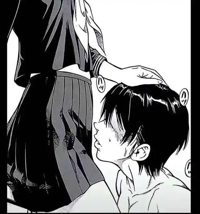 如何在k9犬系中找到自己的真实身份与归属感 一