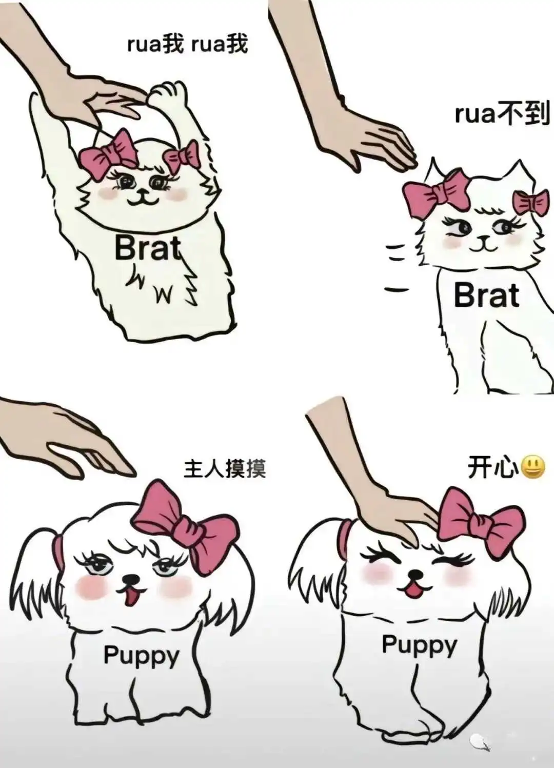 在字母圈中如何成为一个值得信赖的DOM? 一