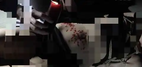 “k9犬系”的魅力来源是什么?你又是否在其中找到了自己? 一