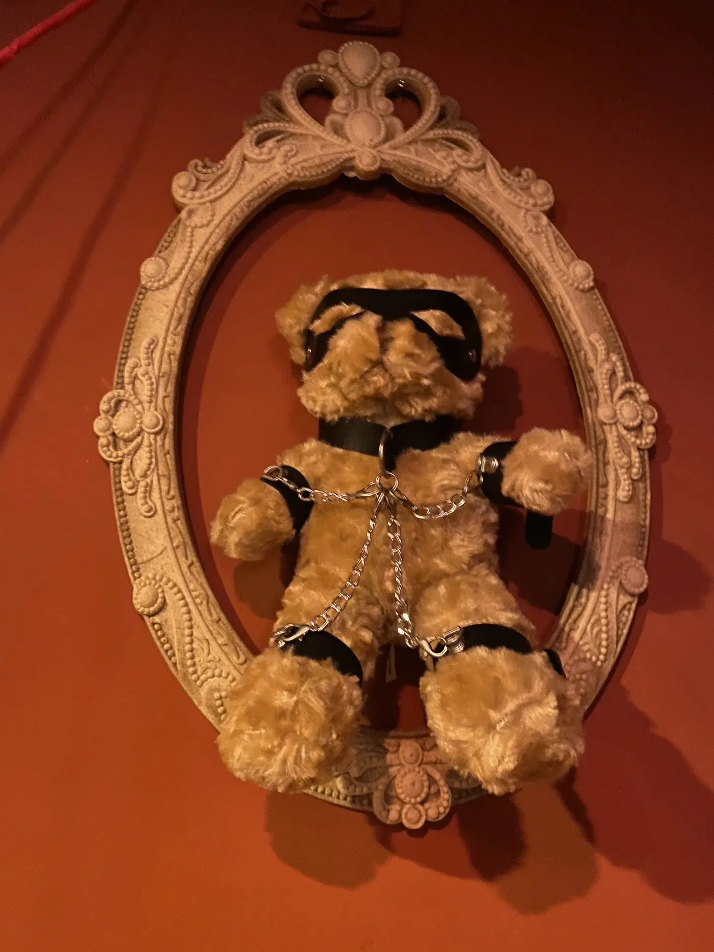 你也可能是字母圈的秘密拥护者吗？ 一