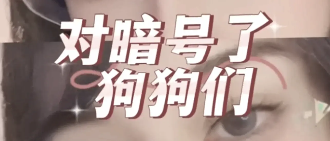 “sp小圈”探秘，你的性格属性属于哪一类？ 一