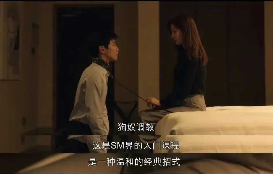 k9是什么？探索BDSM世界中的特殊角色扮演魅力 一