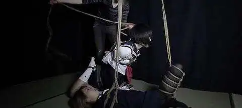 ddlg到底是什么？揭秘这个迷人的世界！ 一