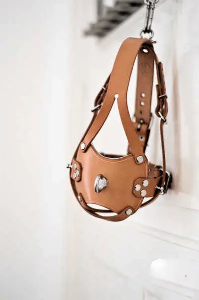 我的斯慕圈体验：如何找到志同道合的伙伴 一