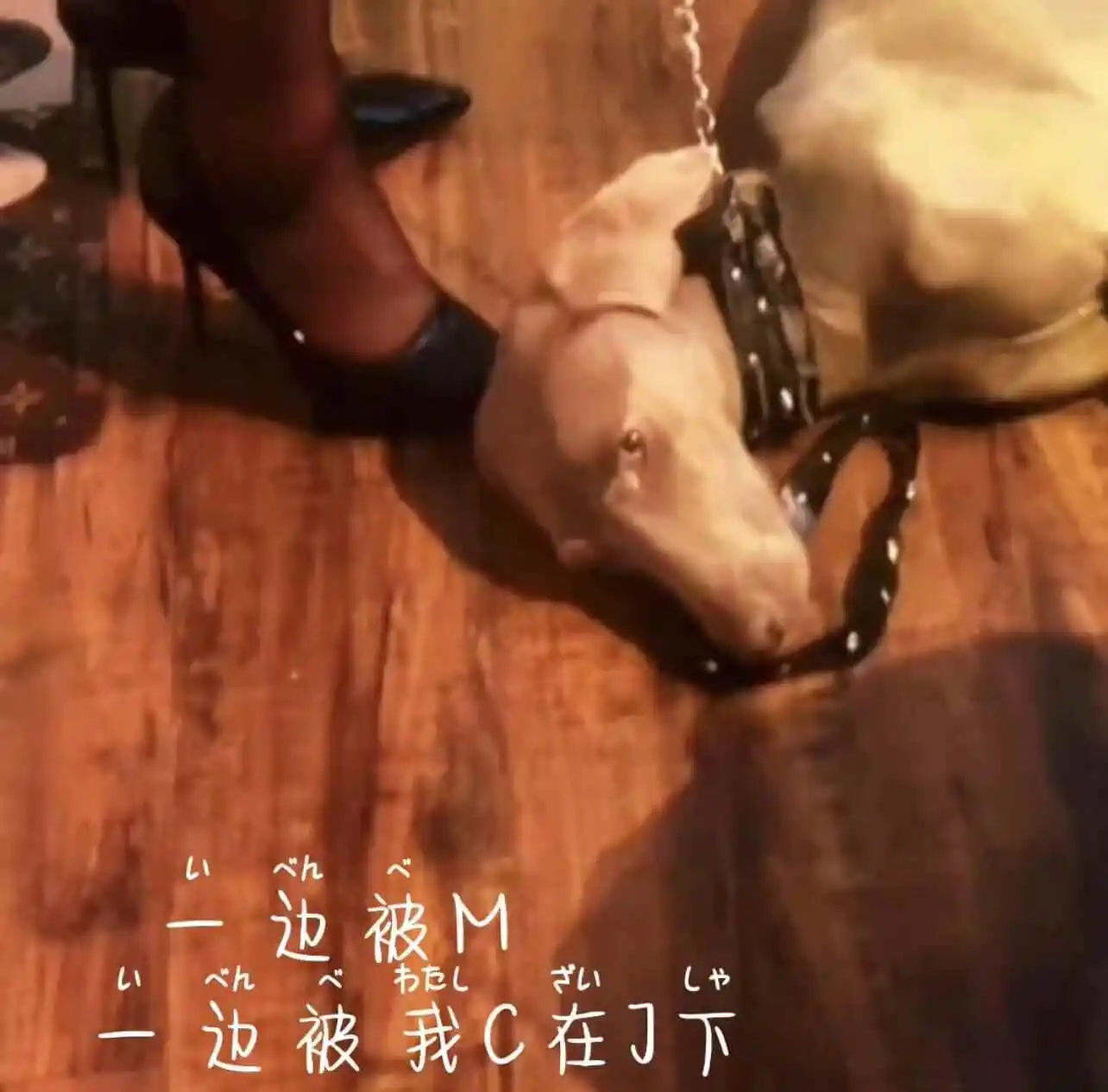 西檬之家BDSM新人入圈指南:掌握SSC原则与安全词 一