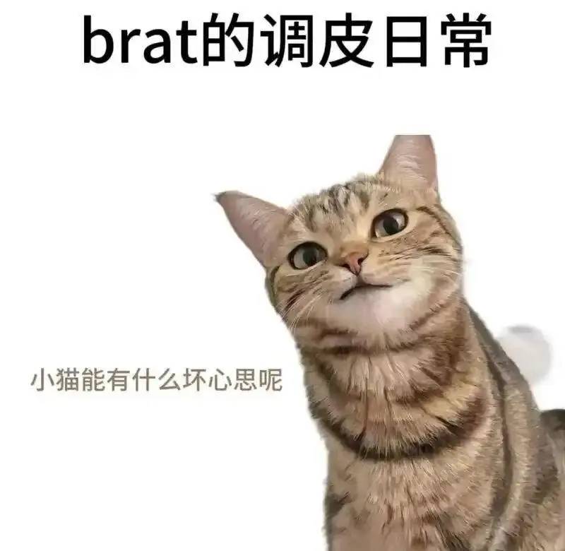 西檬之家BDSM入圈新手必看：SSC原则与安全词解析 一