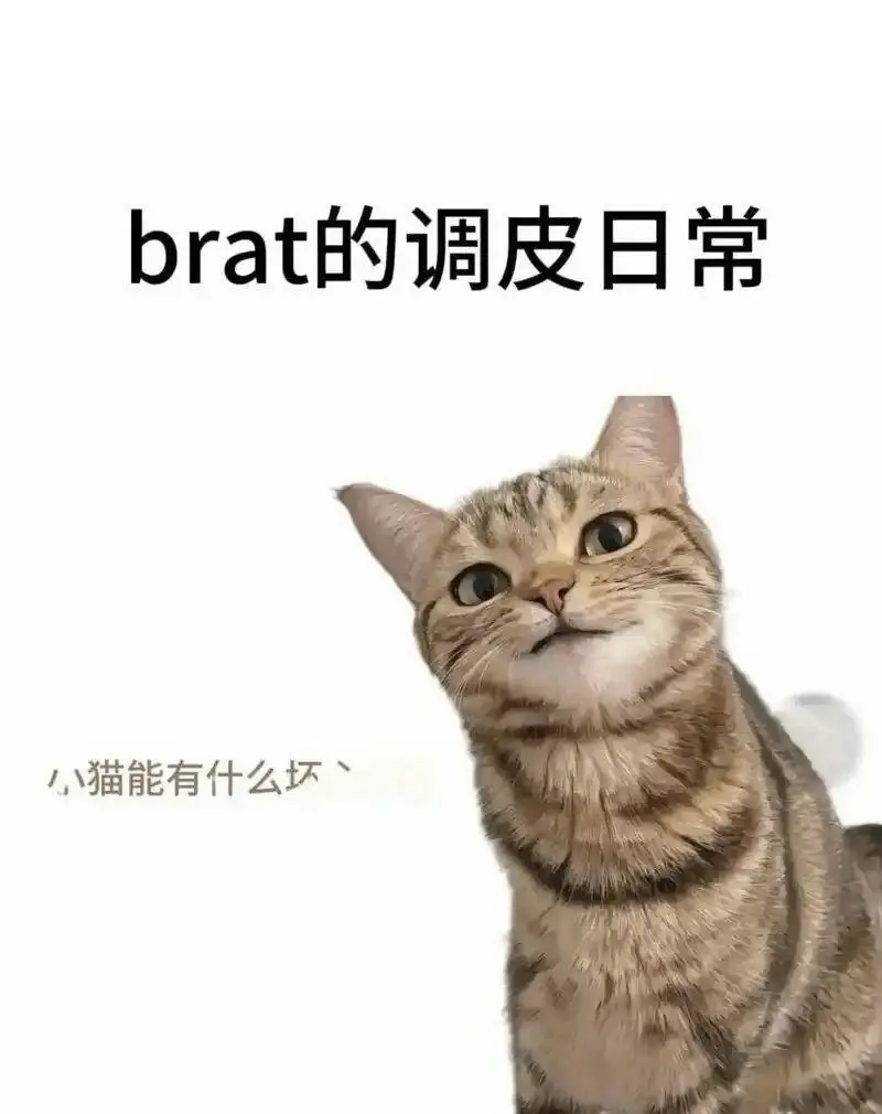 西檬之家字母圈brat属性是什么意思? 一