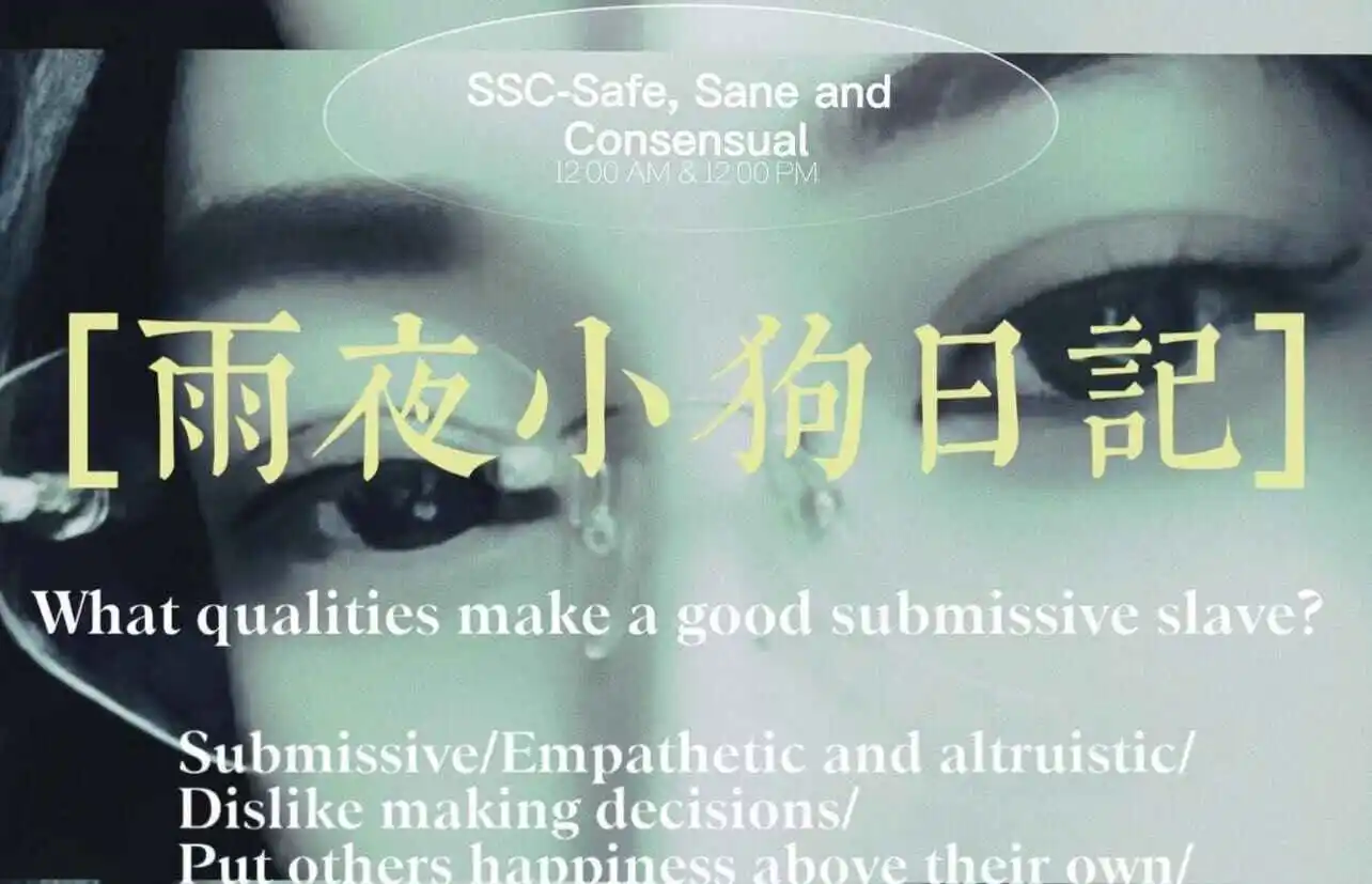 

西檬之家k9犬系是什么？你的属性倾向是什么？ 一