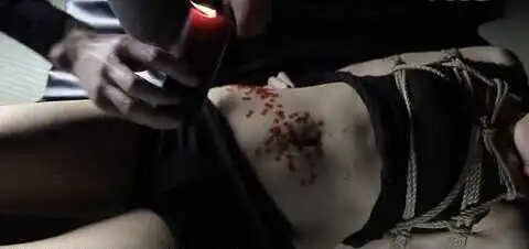 西檬之家s属性是什么意思?你是字母圈s属性吗 一