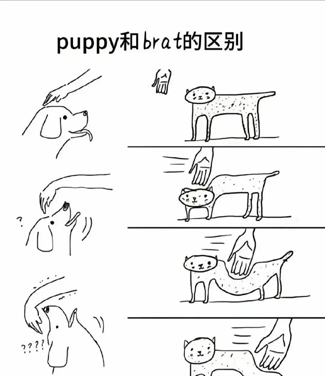 西檬之家字母圈入圈?Dom/sub关系与SSC原则解读 一